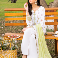 silk cloth dress
