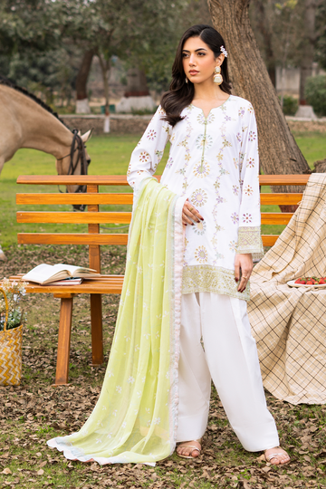 embroidered suits